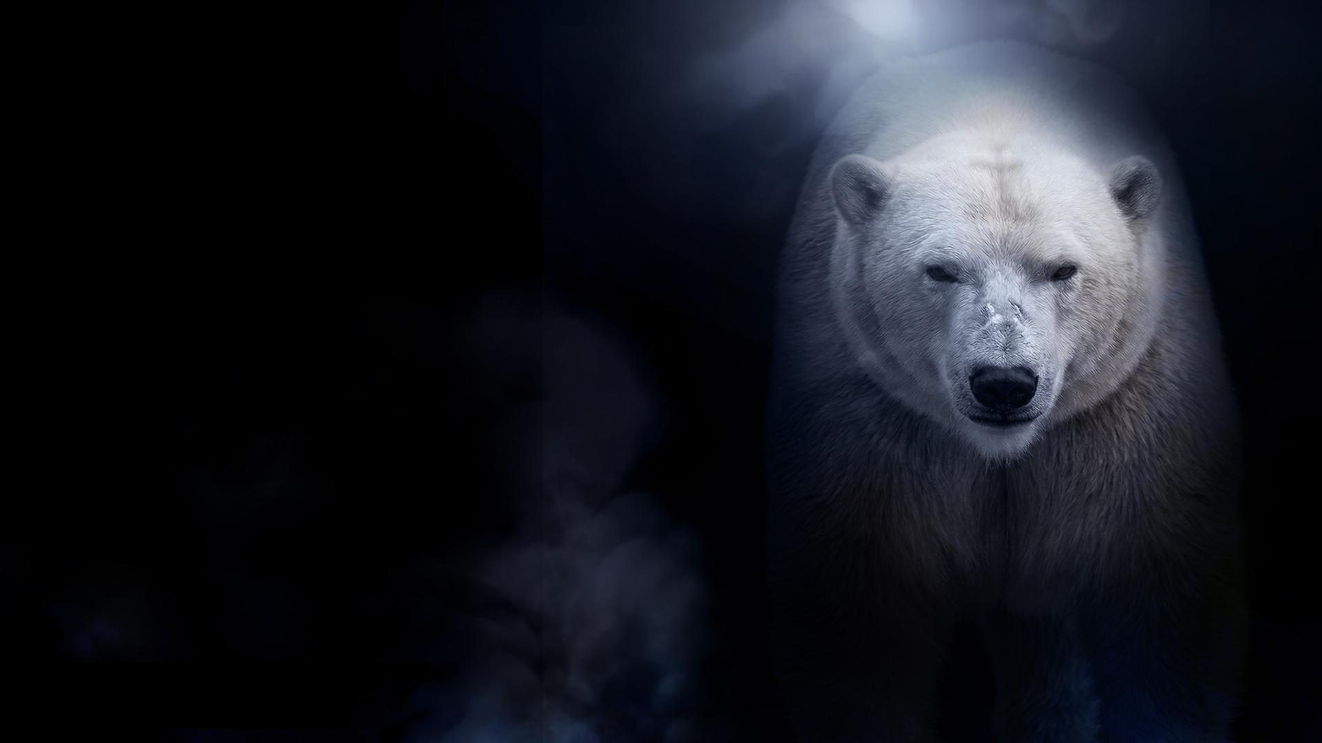 «Альфа-самец»: премьера