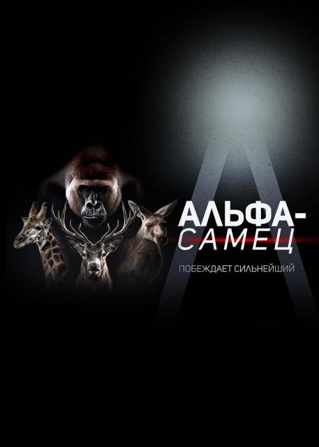 Альфа-самец
