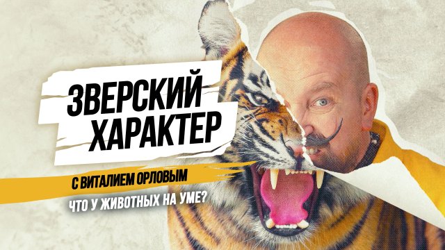 Зверский характер