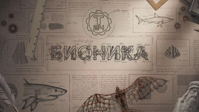 О змеиных термолокаторов до космических телескопов: премьерные выпуски цикла «Бионика» на «Т24»
