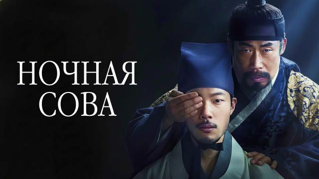 Ночная сова