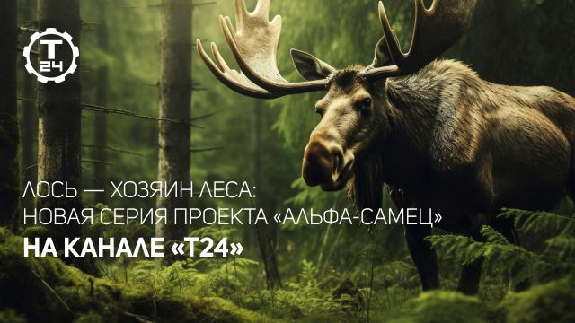 Рогатый хозяин леса и жизнь на болотах: премьера на телеканале «Т24»