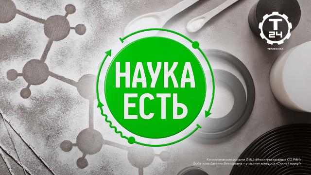 Массаж для осьминога и яичница с помощью спирта: премьера проекта «Наука есть» на «Т24»