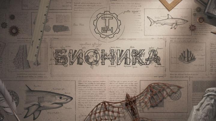 О змеиных термолокаторов до космических телескопов: премьерные выпуски цикла «Бионика» на «Т24»