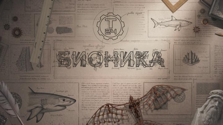 Как природа стала главным инженером Земли: премьера новых выпусков цикла «Бионика»