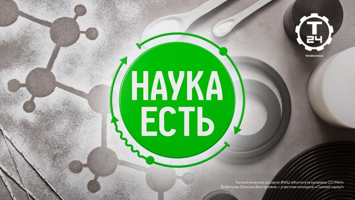 Массаж для осьминога и яичница с помощью спирта: премьера проекта «Наука есть» на «Т24»